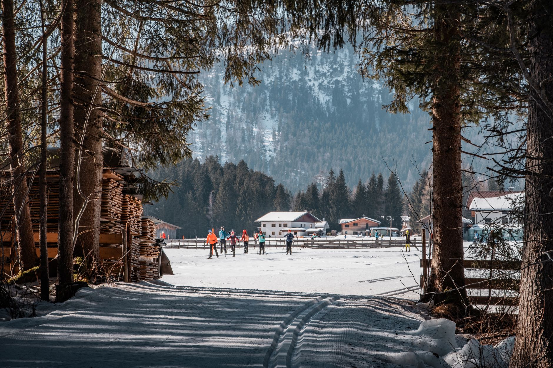 Cross-country skiing in snowy Leutasch, Austria, framed by tall trees and charming chalets. — photograph by Tobi &Chris on Pexels