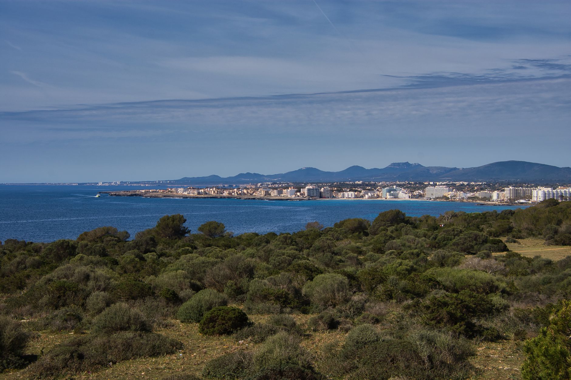 A scenic view of the coastline and town of Sa Coma, Spain with lush vegetation and clear blue ocean. — photograph by Joerg Hartmann on Pexels