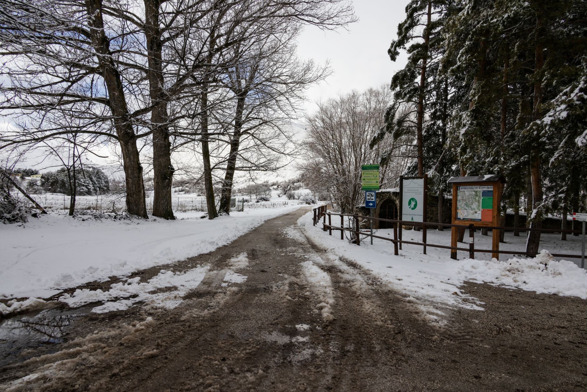 A serene snow-covered path through a winter forest, evoking peace and solitude. — photograph by Magda Ehlers on Pexels