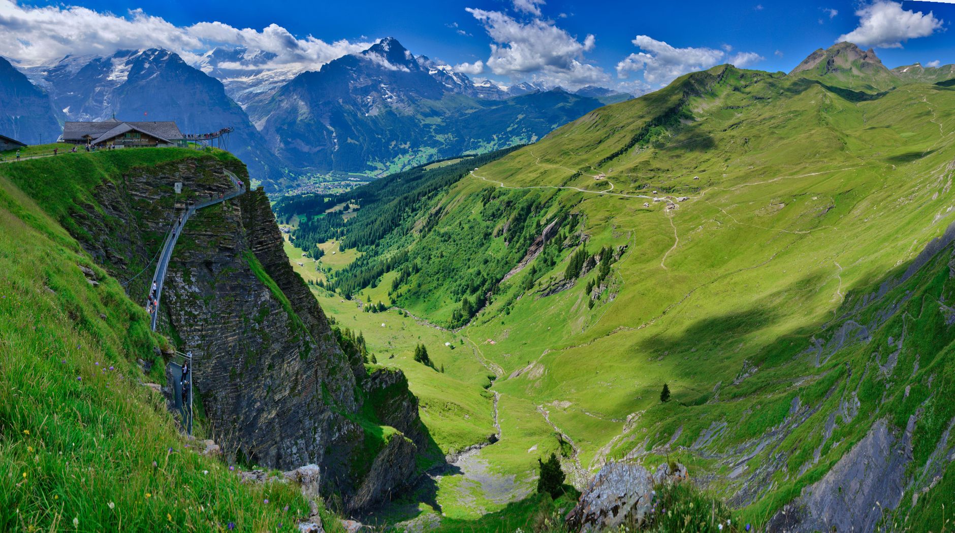 Experience the stunning scenery of Grindelwald, Switzerland, with majestic mountains and lush valleys. — photograph by allPhoto Bangkok on Pexels